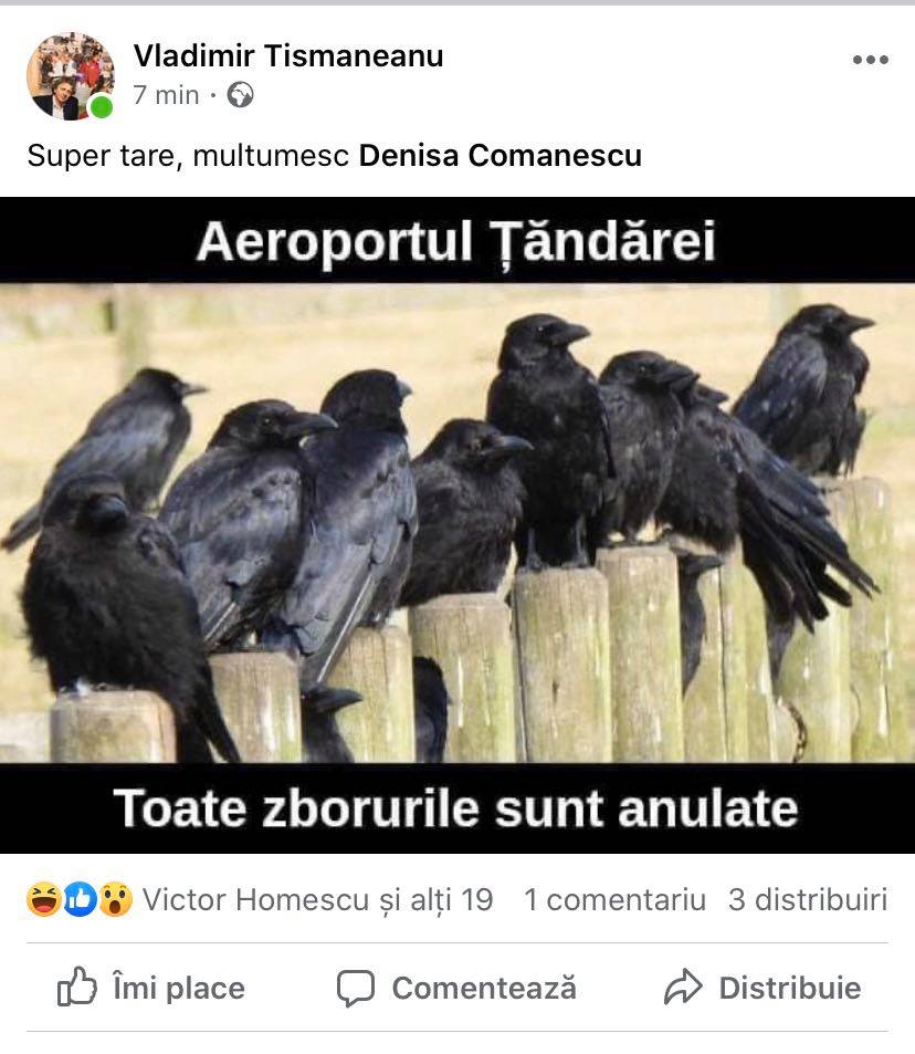 Postarea lui Tismăneanu