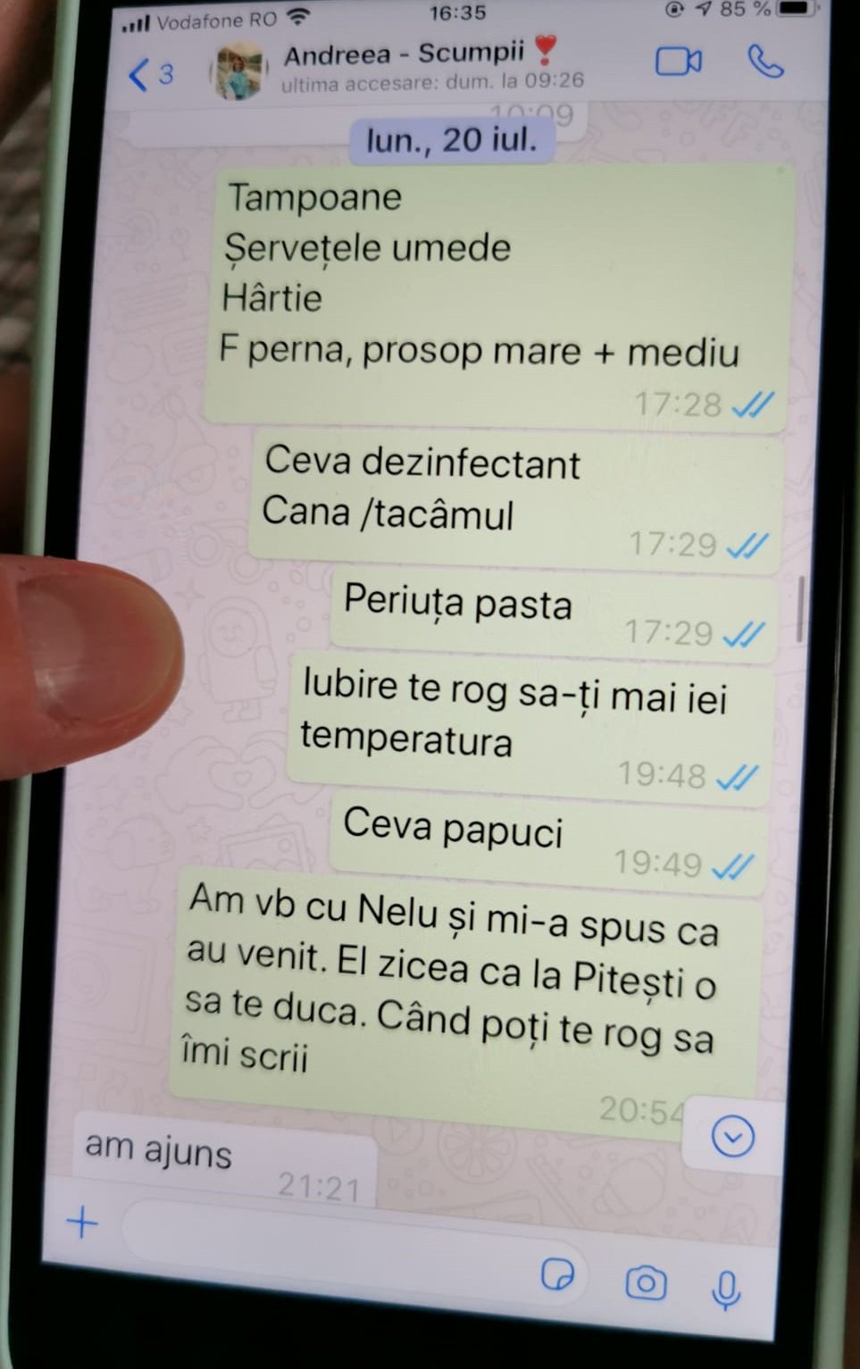 Pe 20 iulie, Andreea era pregătită să fie internată